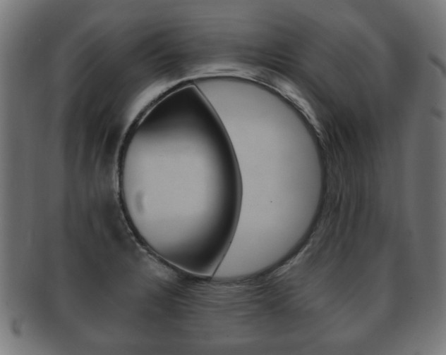 X0000091991328200709061213