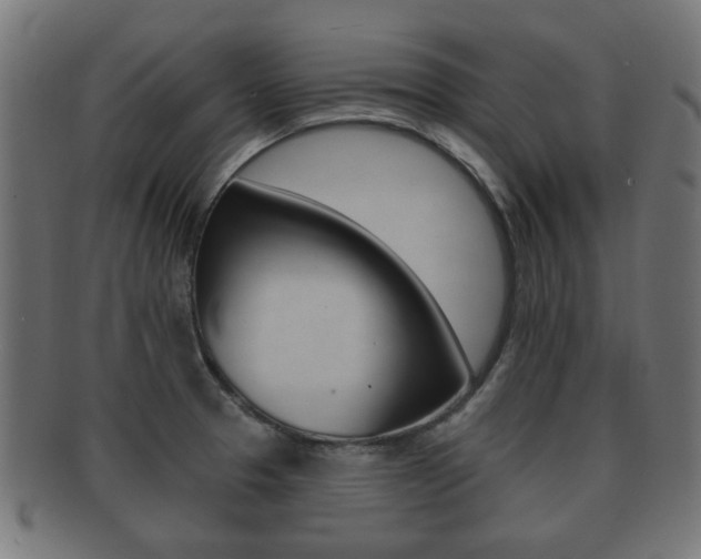 X0000091991329200709061213