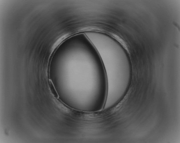 X0000091991330200709061213