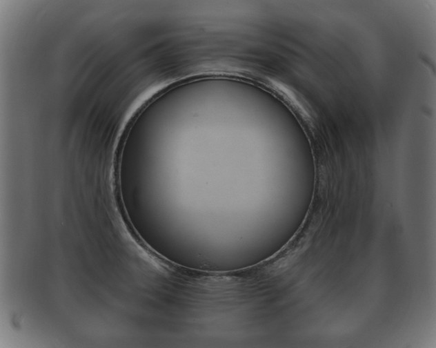 X0000091991331200709061213