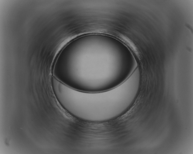 X0000091991332200709061213