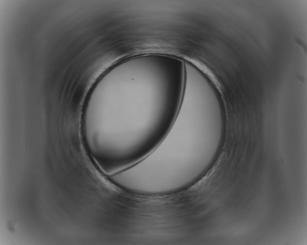 X0000091991333200709061213