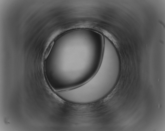 X0000091991334200709061213