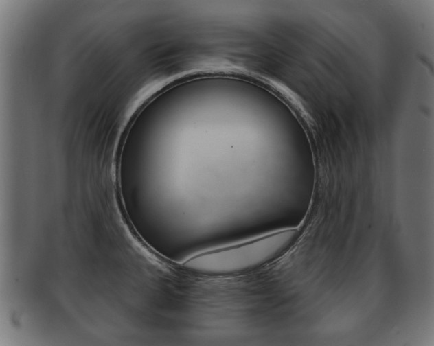 X0000091991335200709061213