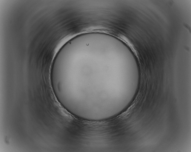 X0000091991336200709061213