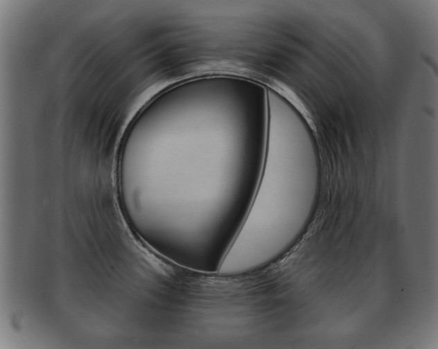 X0000091991339200709061213