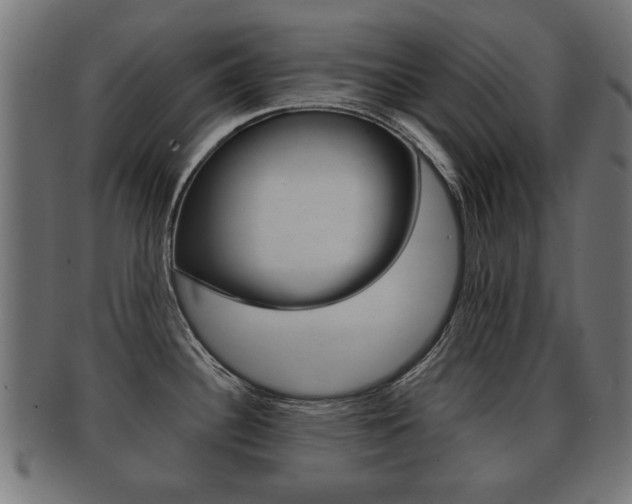 X0000091991340200709061213