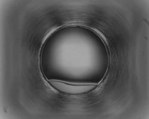X0000091991341200709061213