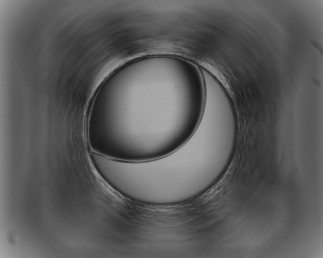 X0000091991342200709061213
