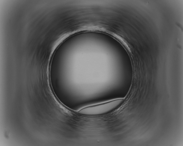 X0000091991343200709061213