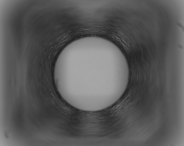X0000091991345200709061212