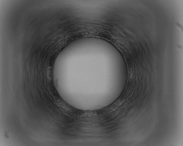 X0000091991346200709061212