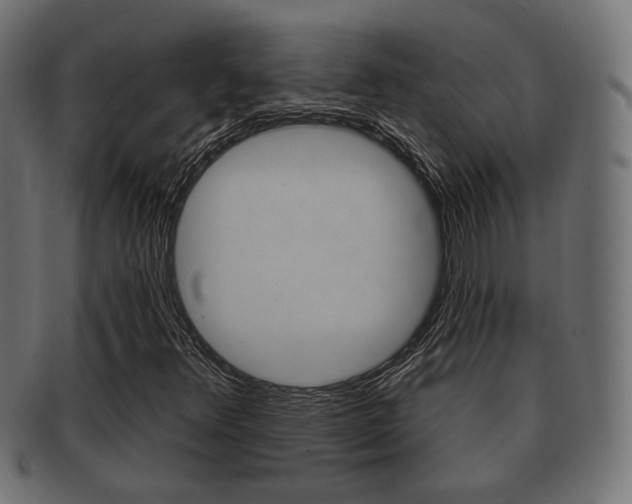 X0000091991348200709061212