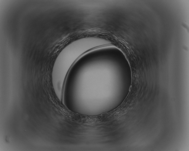X0000091991349200709061212