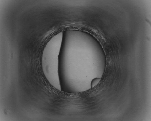X0000091991350200709061212