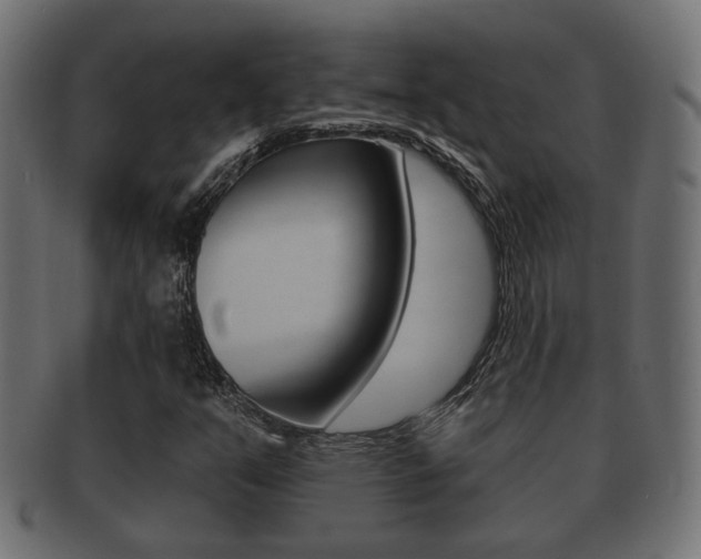 X0000091991351200709061212