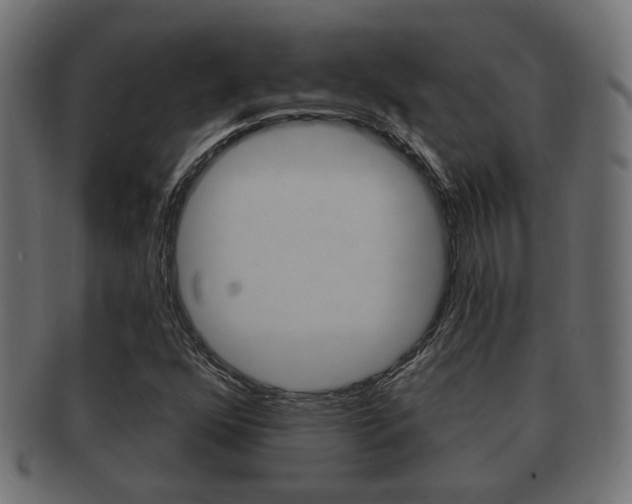 X0000091991352200709061212