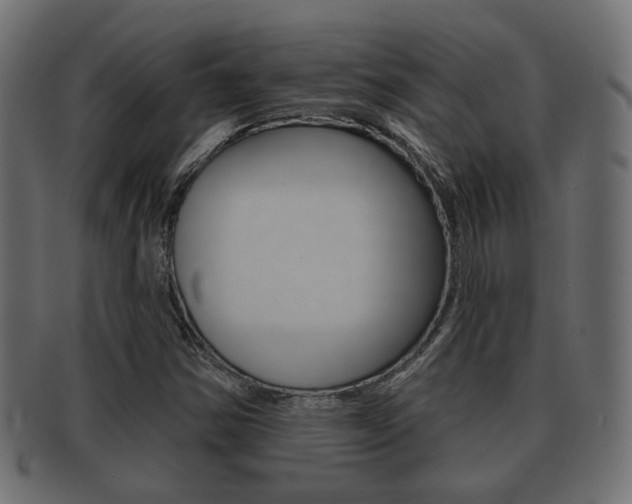 X0000091991354200709061212