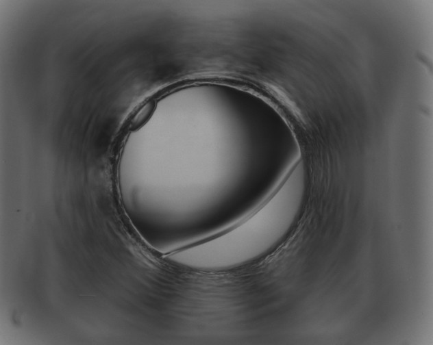 X0000091991356200709061212