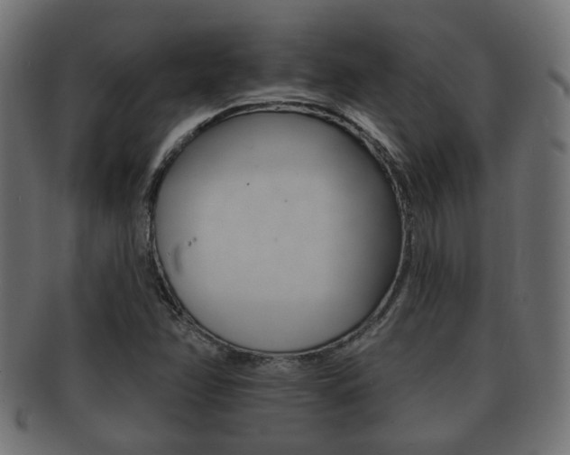 X0000091991358200709061212