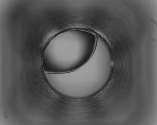 X0000091991359200709061212