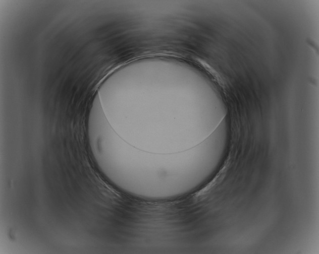 X0000091991361200709061212