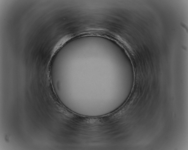 X0000091991362200709061212