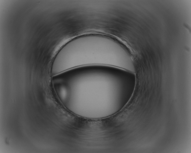 X0000091991363200709061212