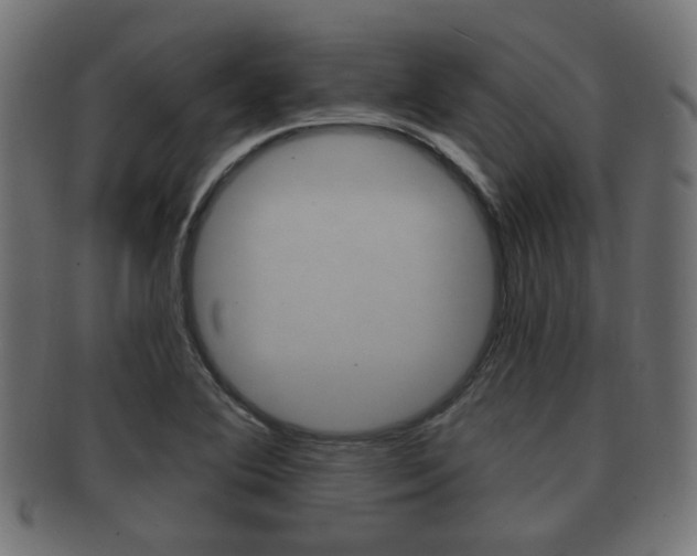 X0000091991364200709061212