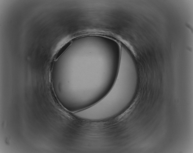 X0000091991365200709061212