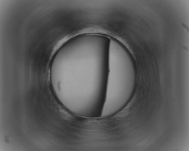 X0000091991366200709061212