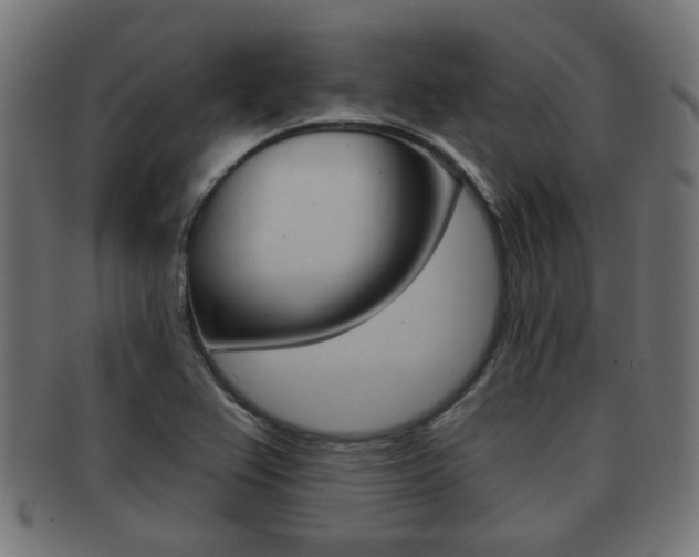 X0000091991367200709061212