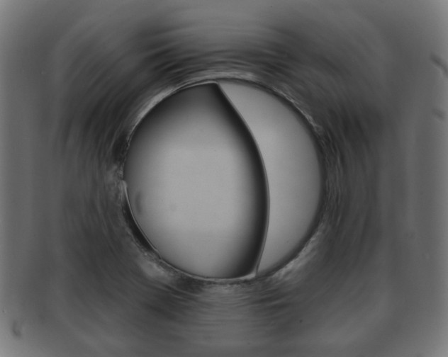 X0000091991369200709061212