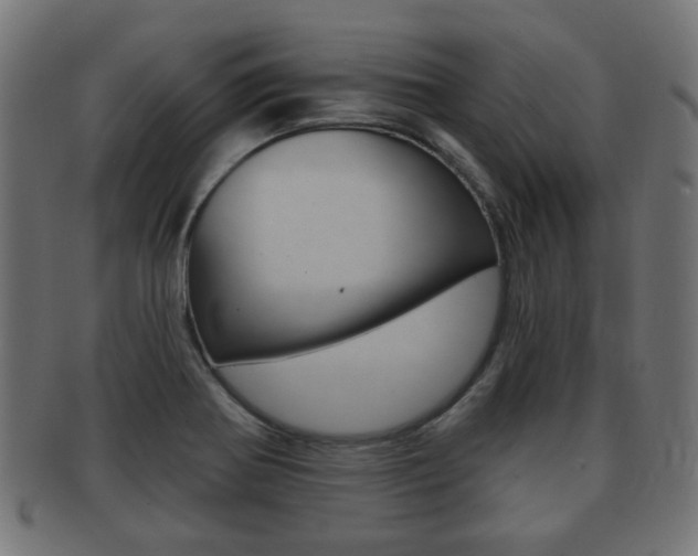 X0000091991370200709061212