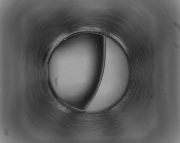 X0000091991371200709061212