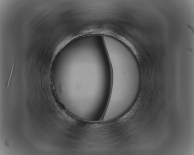 X0000091991373200709061212