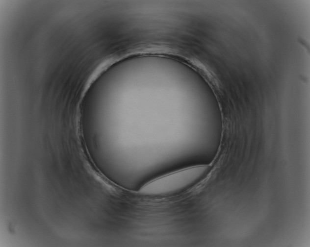 X0000091991374200709061212