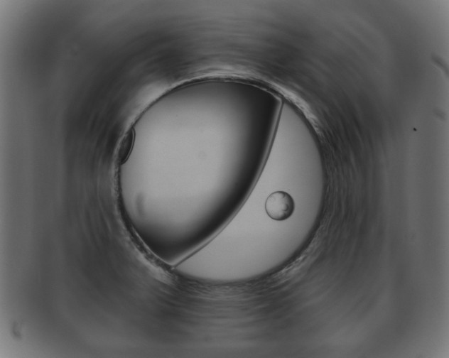 X0000091991375200709061212