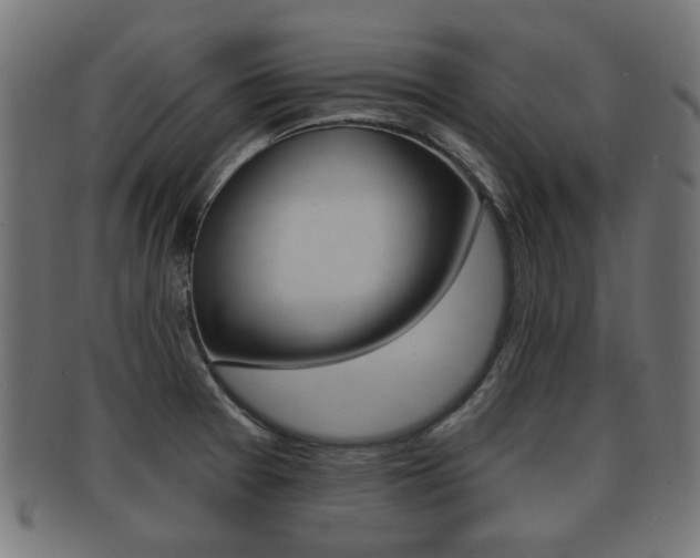 X0000091991377200709061212