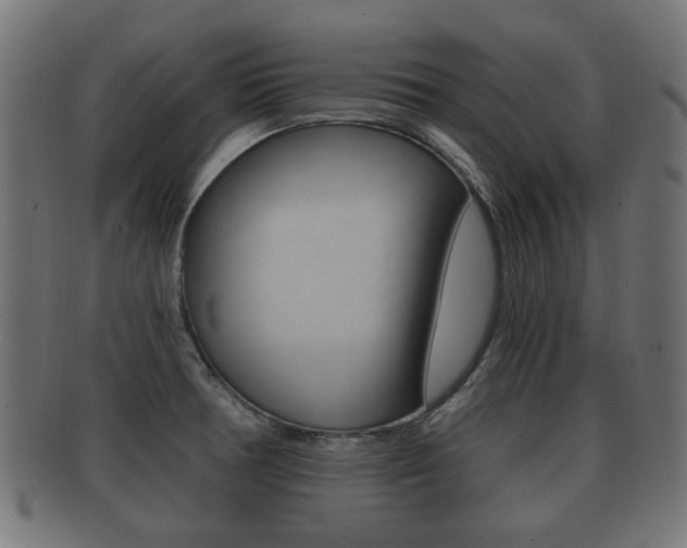 X0000091991378200709061212