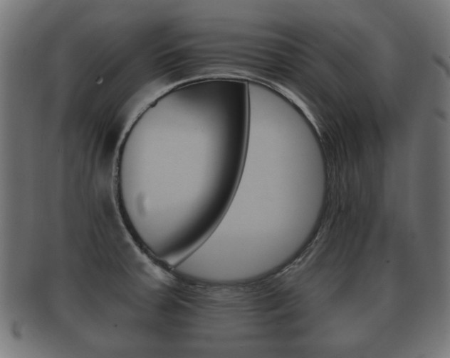 X0000091991379200709061212