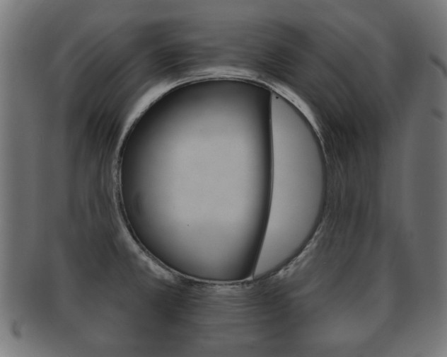 X0000091991381200709061212