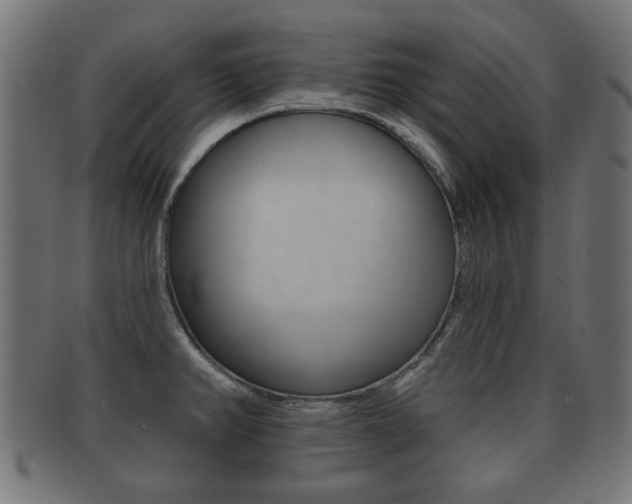 X0000091991382200709061212