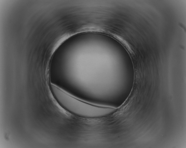 X0000091991383200709061212