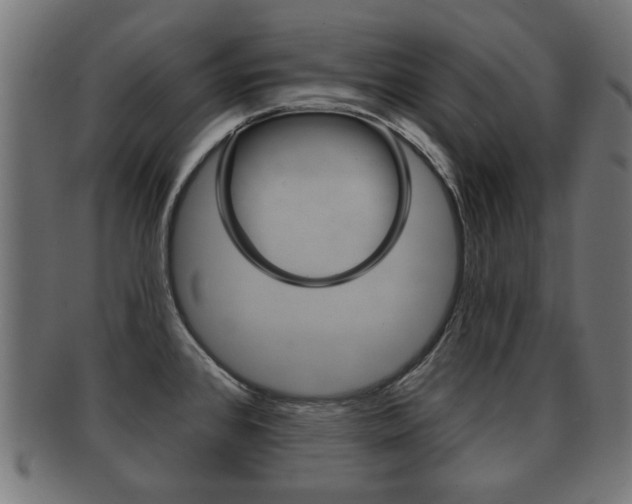 X0000091991384200709061212