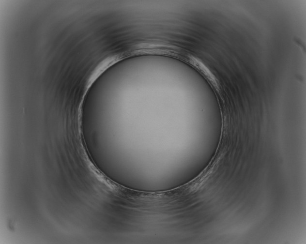 X0000091991386200709061212