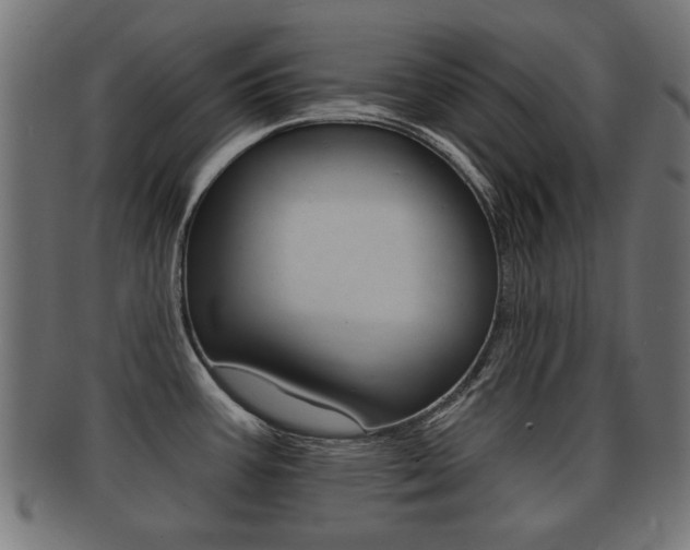 X0000091991387200709061212