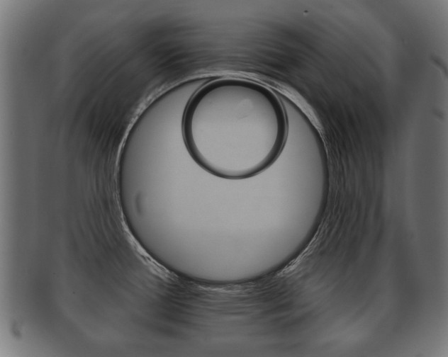 X0000091991388200709061212