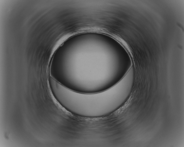 X0000091991389200709061212