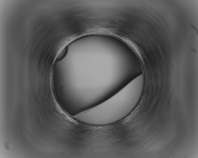 X0000091991390200709061212